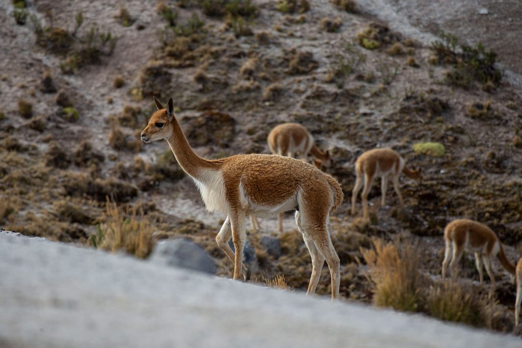 Noble Earth Resources Environmental Monitoring