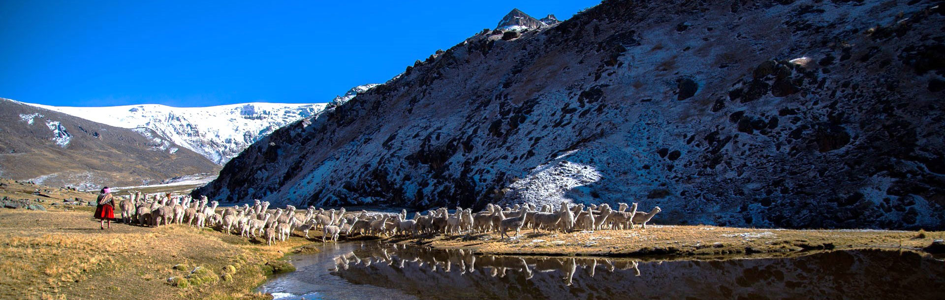 Banner Sustainability